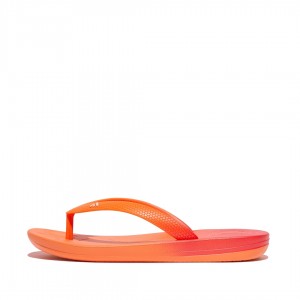 Red Fitflop Iqushion Rubber Kids' Flip Flops | UAE-0439-WPLYM